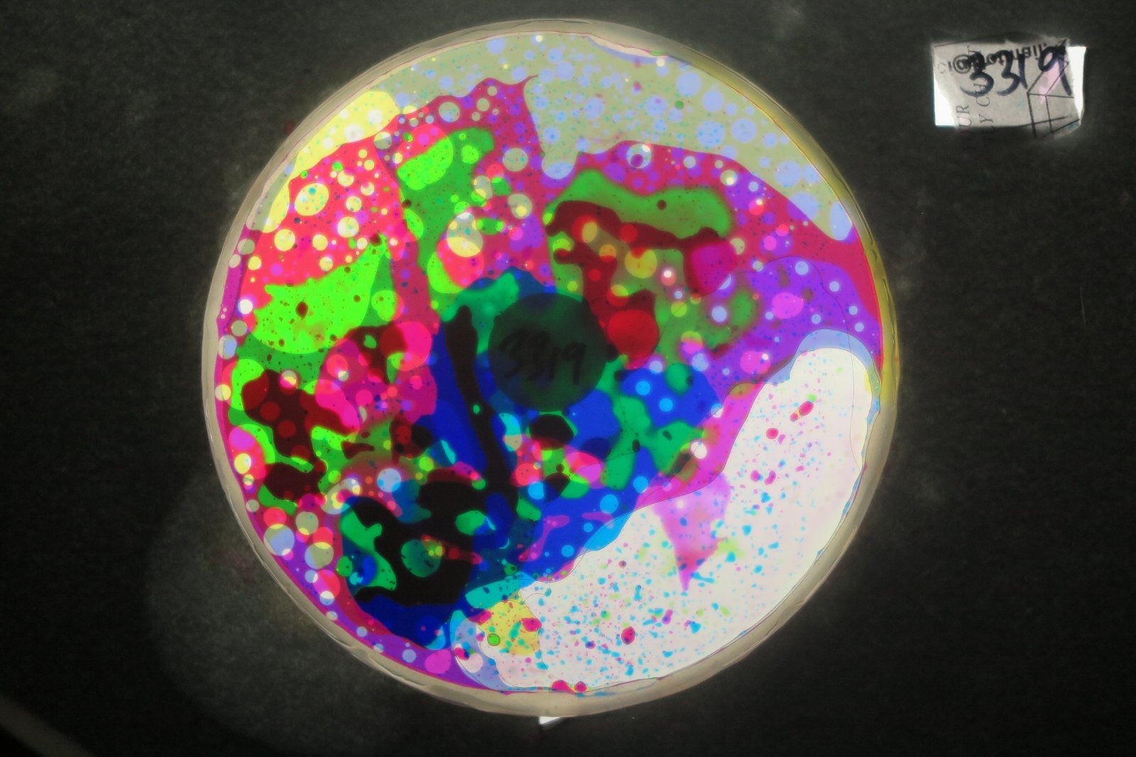 BV3319 bubble vision oil wheel